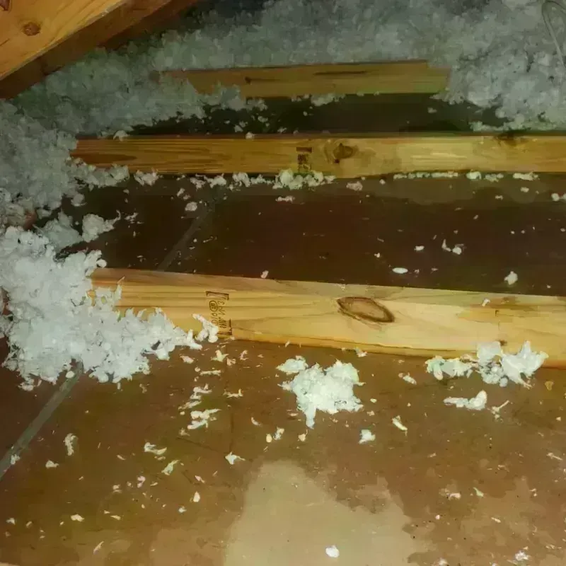 Attic Water Damage in Oconto, WI